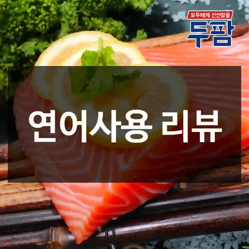 연어사용 리뷰