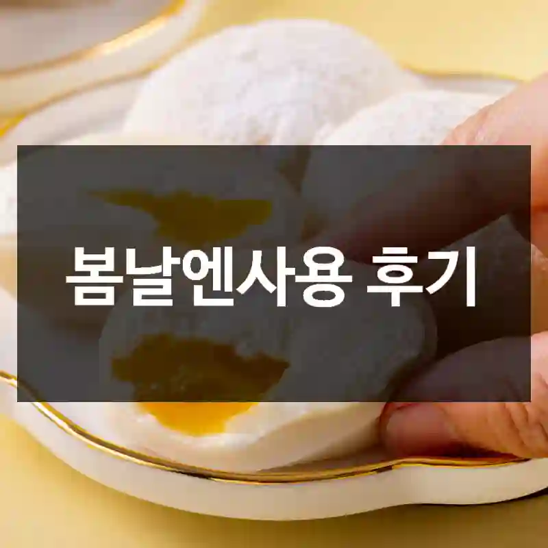 봄날엔사용 후기