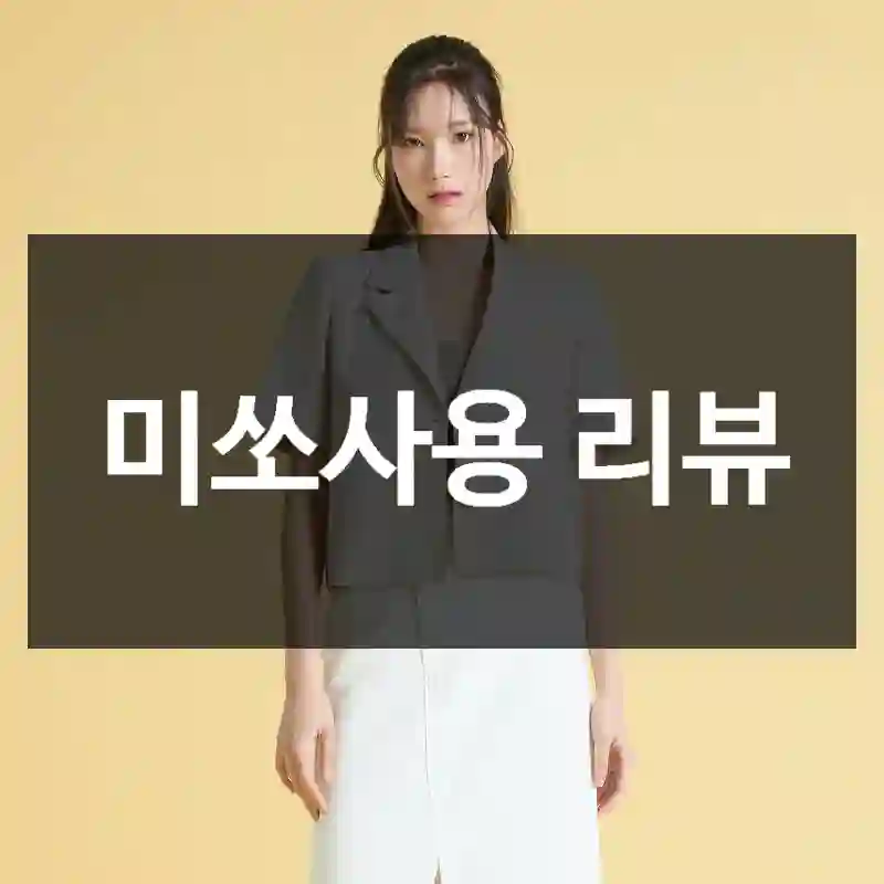 미쏘사용 리뷰