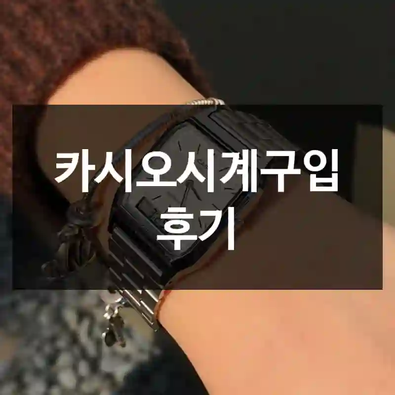 카시오시계구입 후기