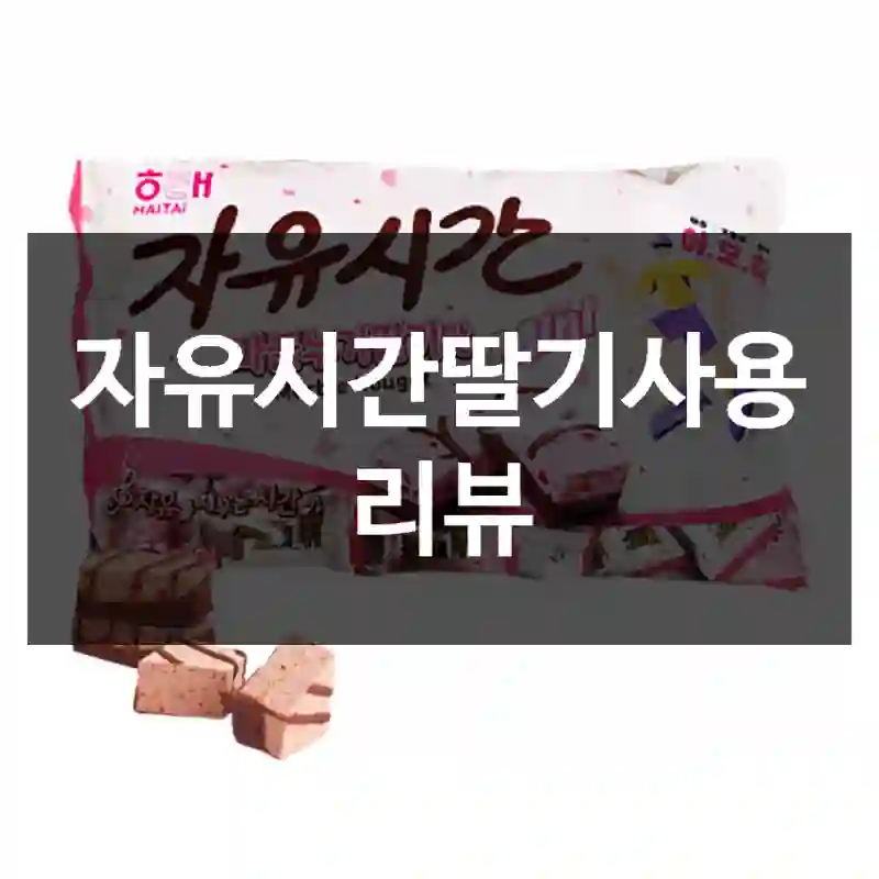 자유시간딸기사용 리뷰