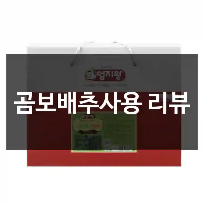 곰보배추사용 리뷰