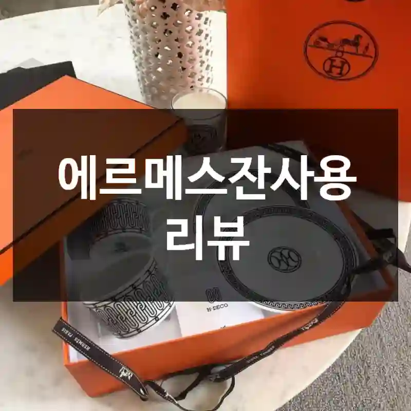 에르메스잔사용 리뷰
