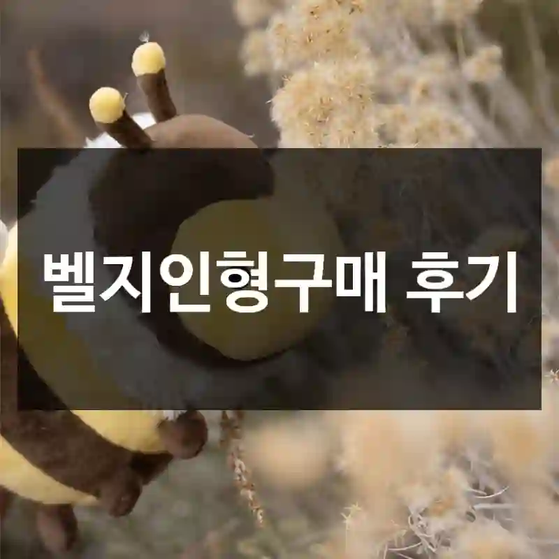 벨지인형구매 후기