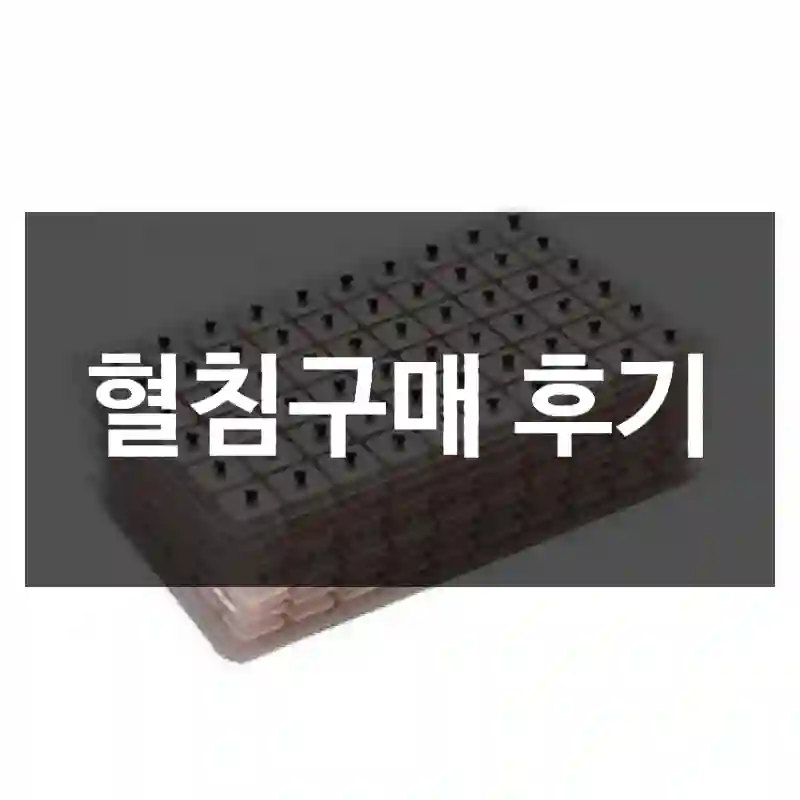 혈침구매 후기