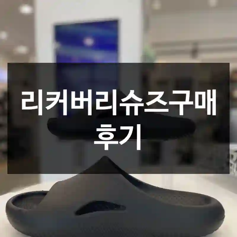 리커버리슈즈구매 후기