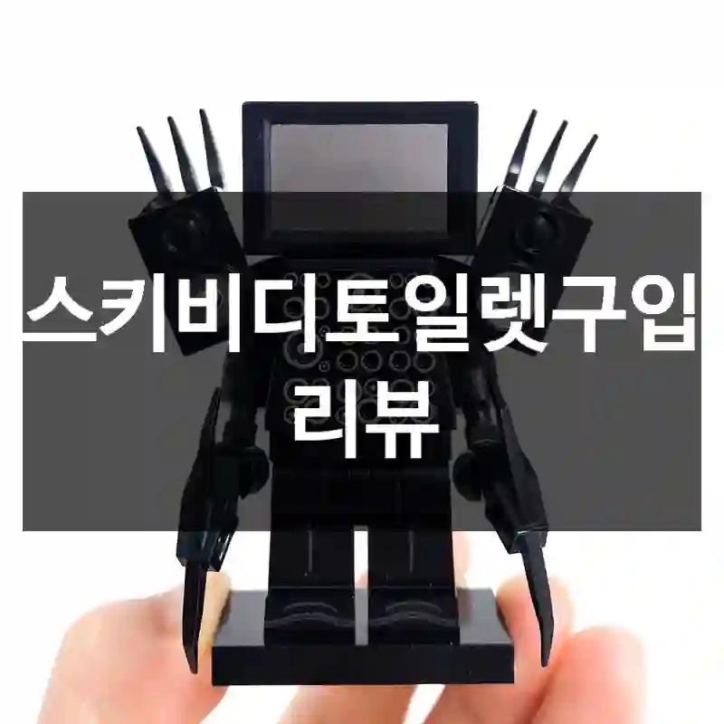 스키비디토일렛구입 리뷰