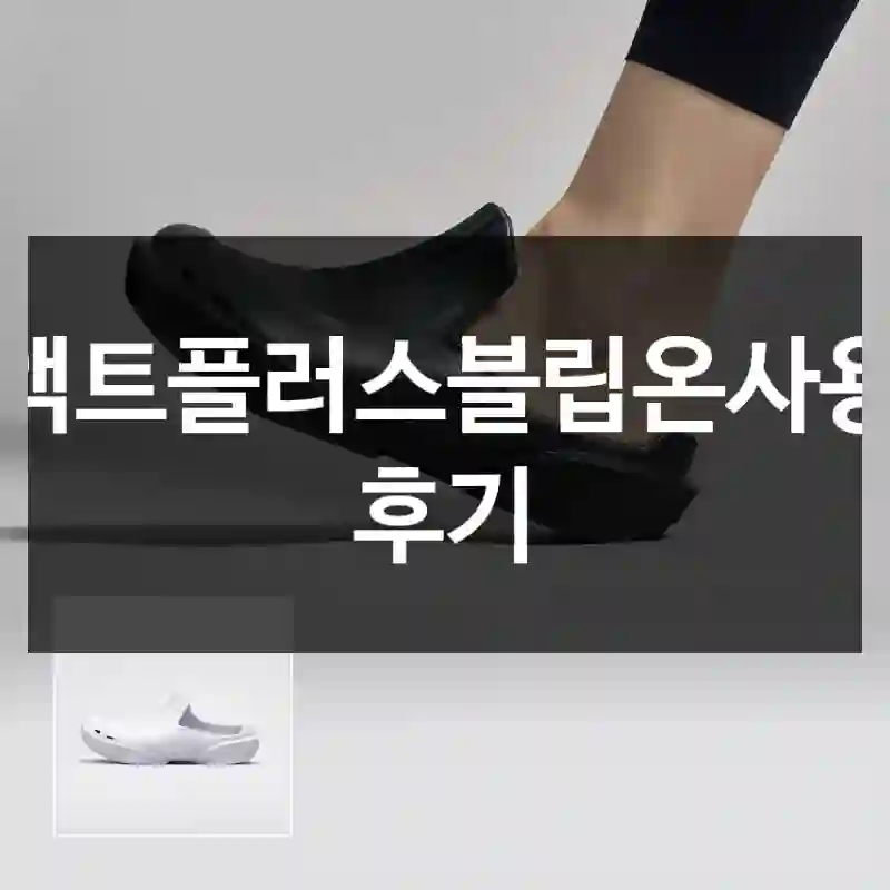 액트플러스블립온사용 후기