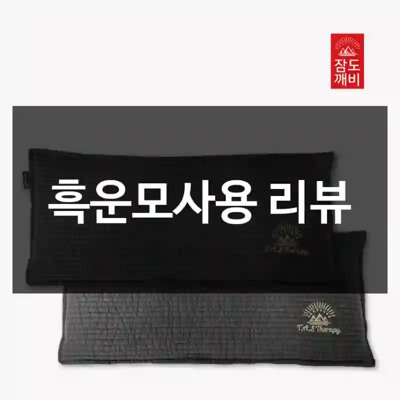 흑운모사용 리뷰