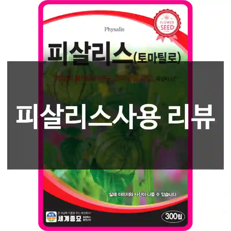 피살리스사용 리뷰