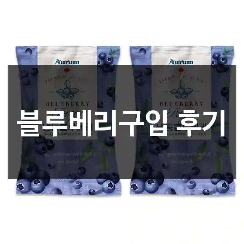 블루베리구입 후기