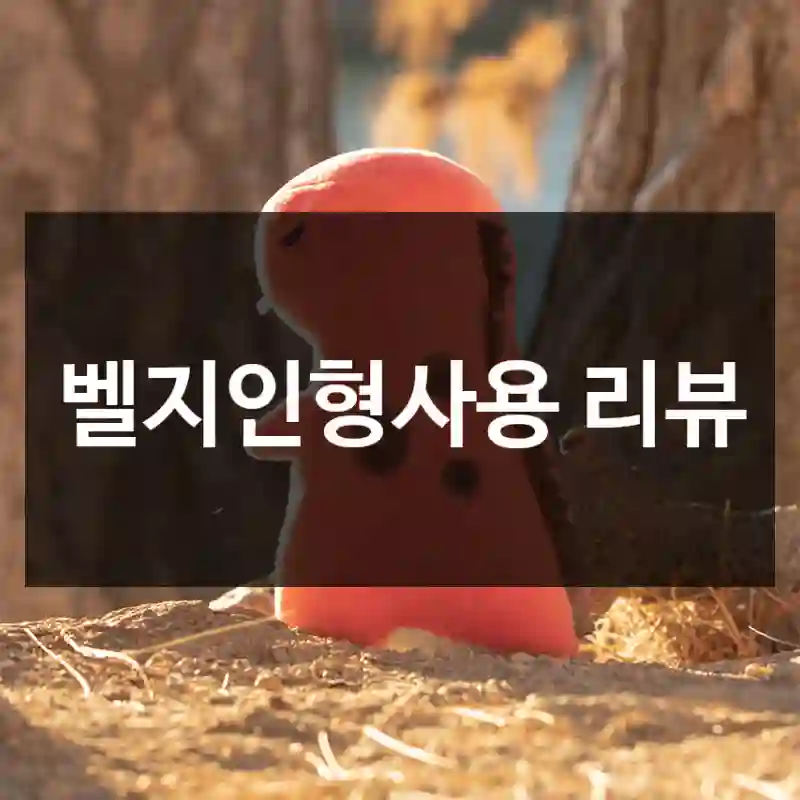 벨지인형사용 리뷰