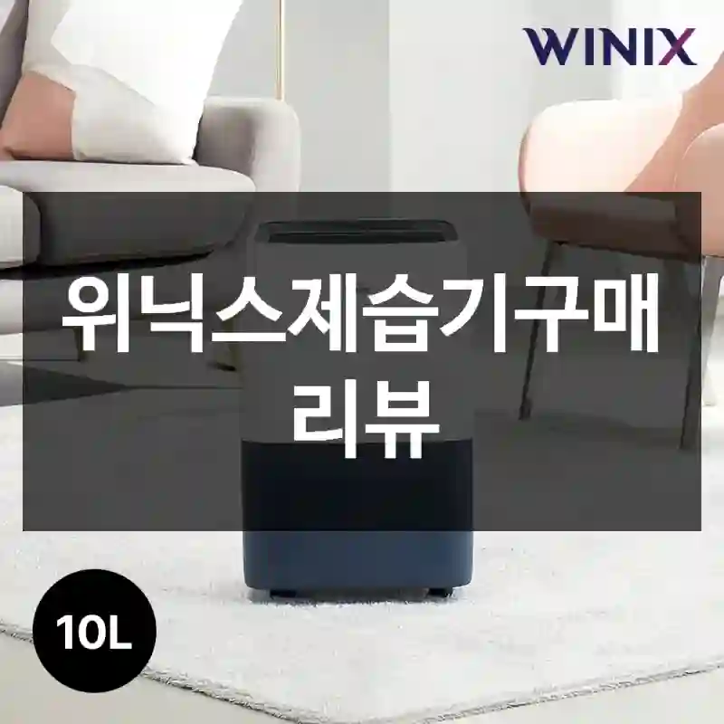 위닉스제습기구매 리뷰