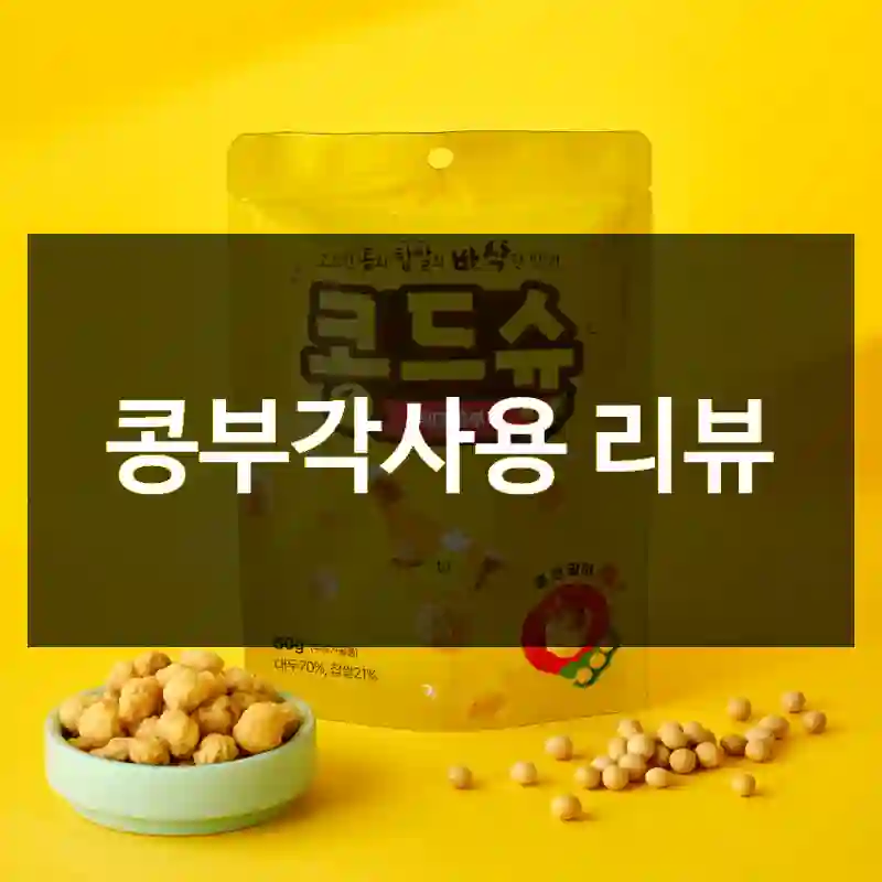 콩부각사용 리뷰