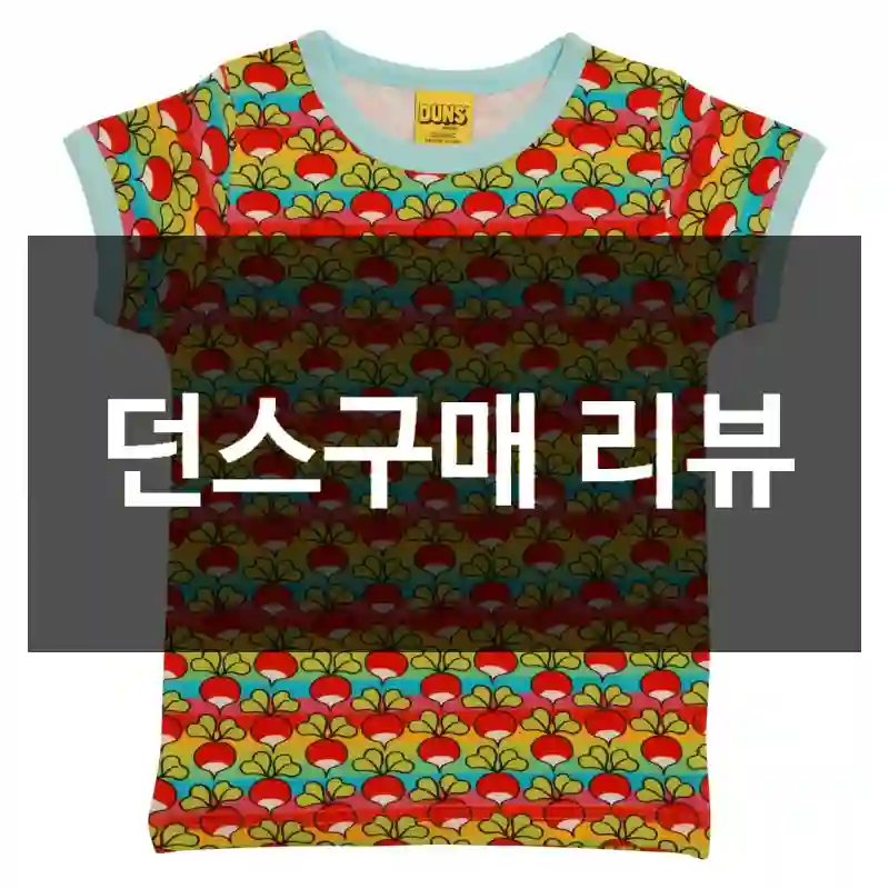 던스구매 리뷰