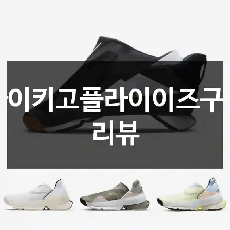 나이키고플라이이즈구입 리뷰