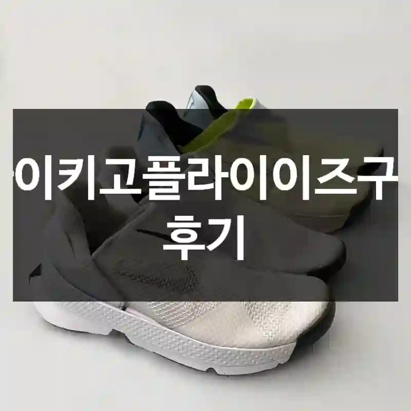 나이키고플라이이즈구매 후기