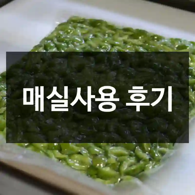 매실사용 후기
