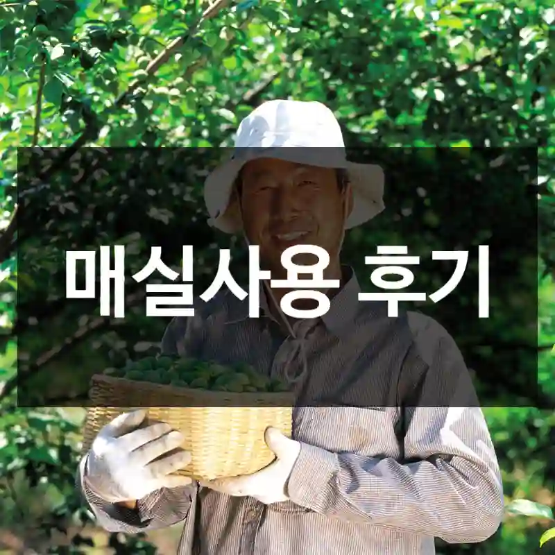 매실사용 후기