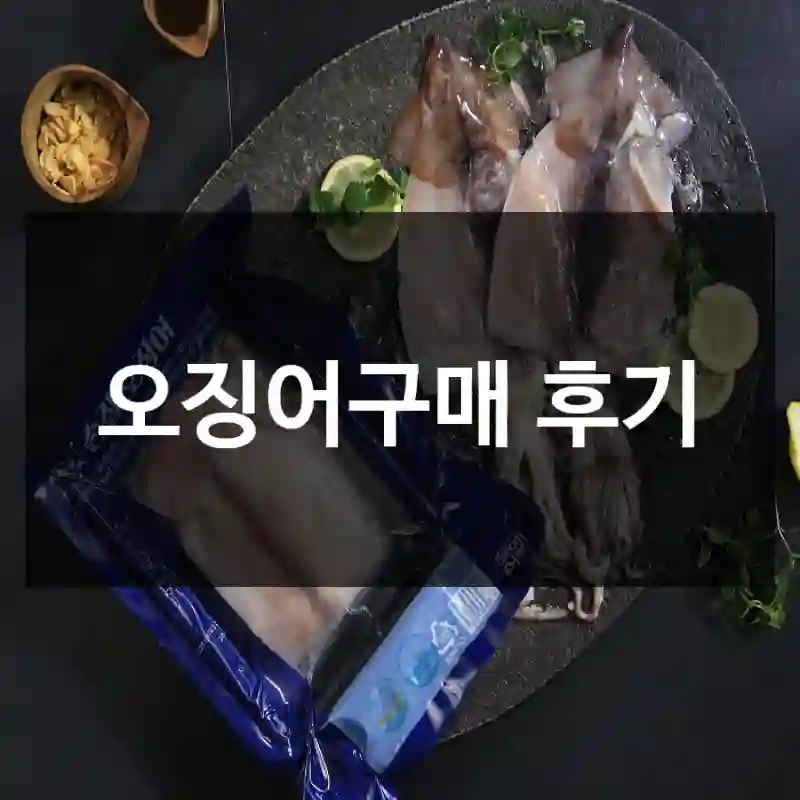 오징어구매 후기