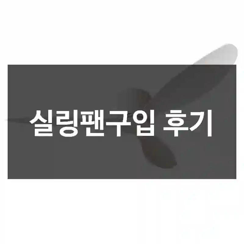 실링팬구입 후기