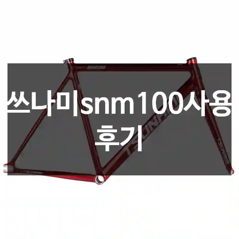 쓰나미snm100사용 후기