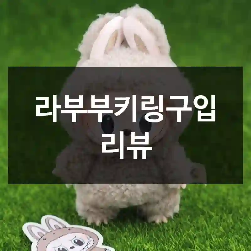 라부부키링구입 리뷰