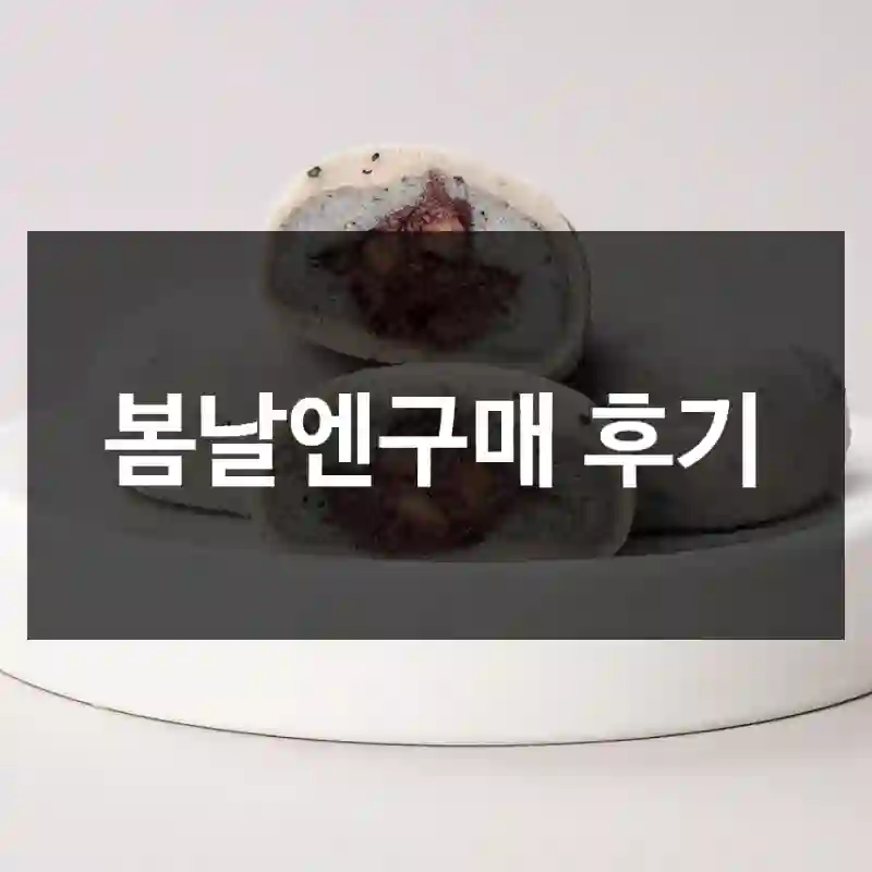 봄날엔구매 후기