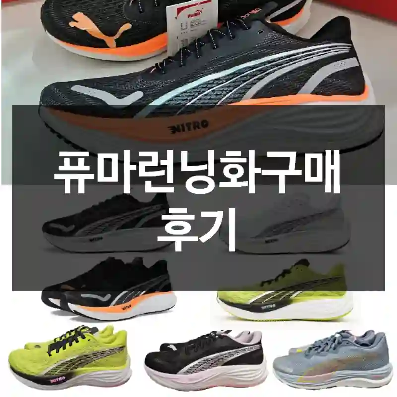 퓨마런닝화구매 후기