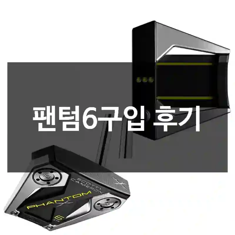 팬텀6구입 후기