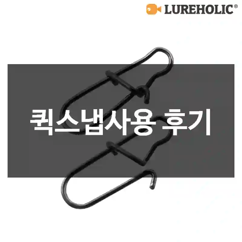 퀵스냅사용 후기
