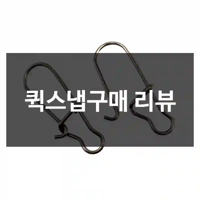 퀵스냅구매 리뷰