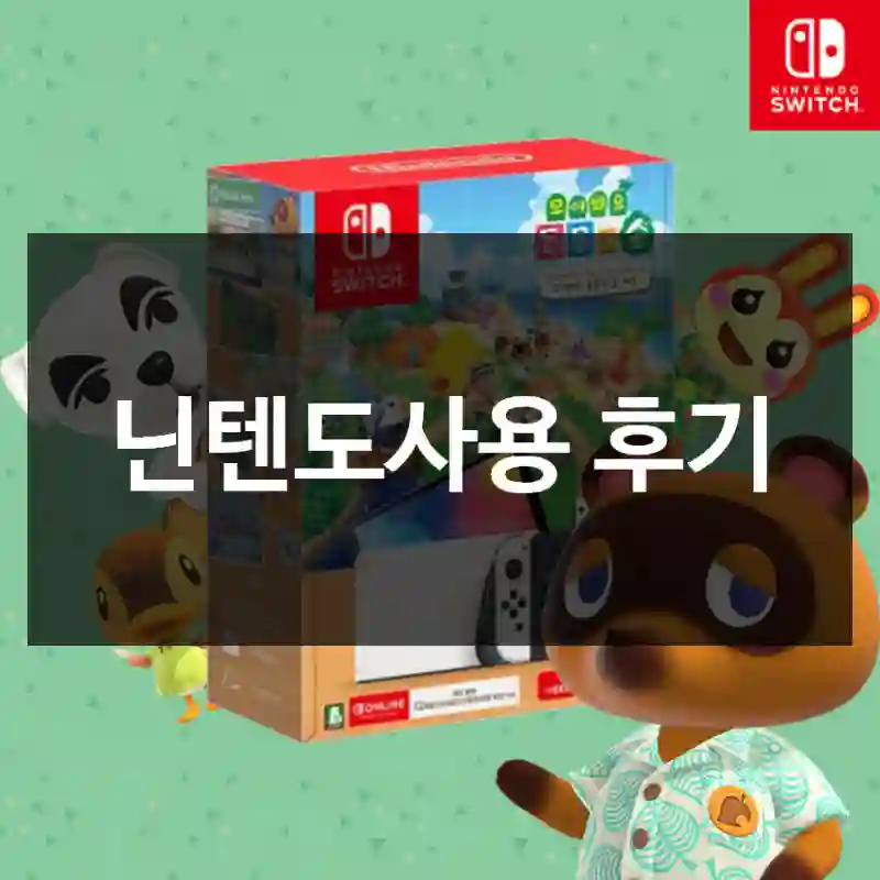 닌텐도사용 후기