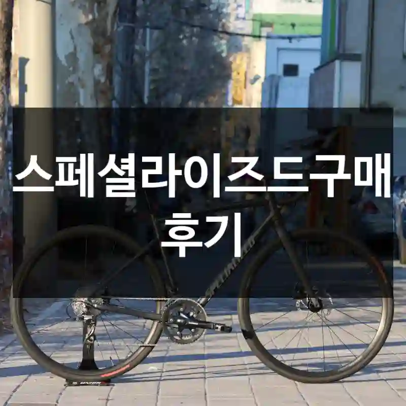 스페셜라이즈드구매 후기
