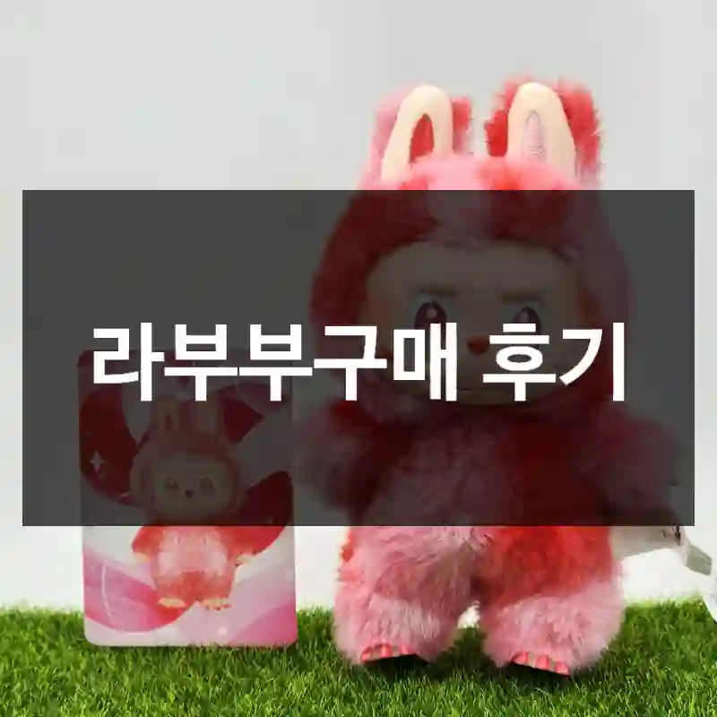 라부부구매 후기