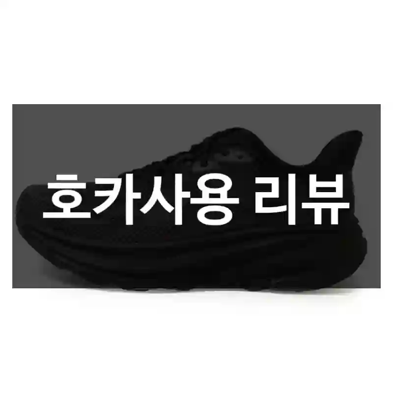 호카사용 리뷰
