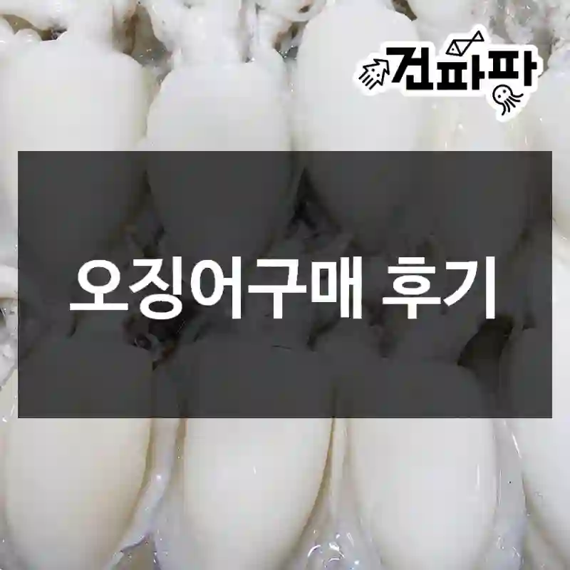 오징어구매 후기