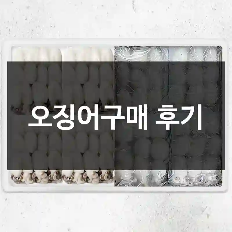 오징어구매 후기