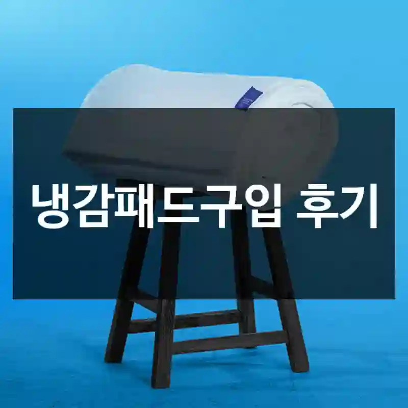 냉감패드구입 후기