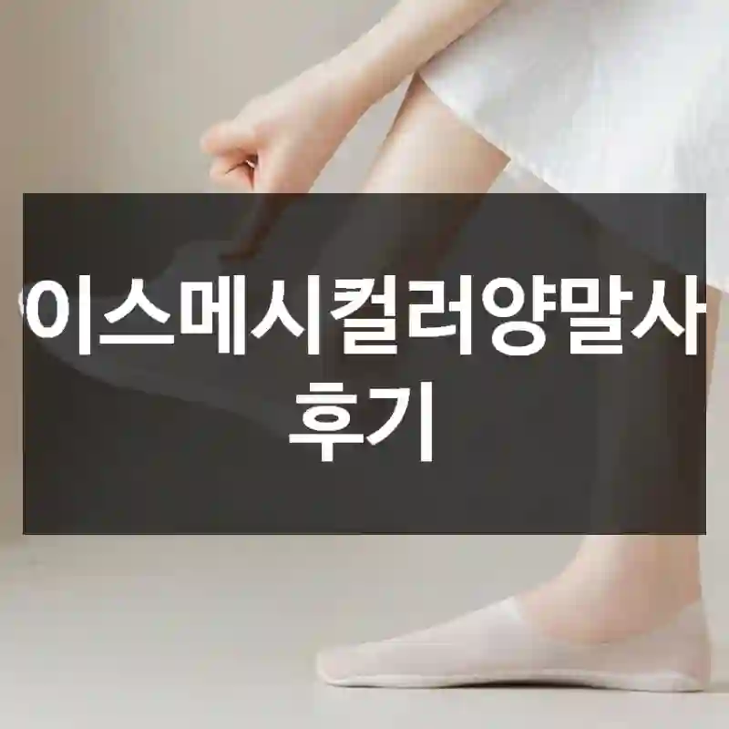 아이스메시컬러양말사용 후기