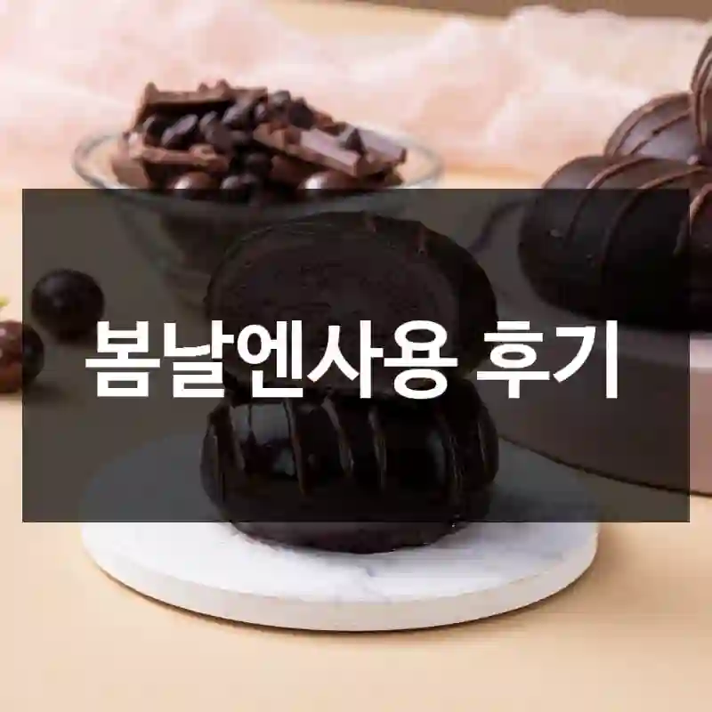 봄날엔사용 후기