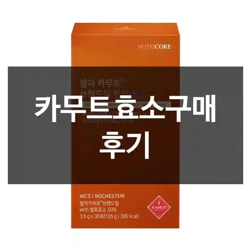 카무트효소구매 후기