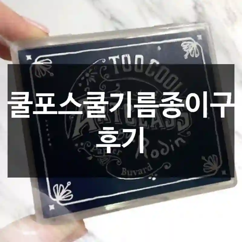 투쿨포스쿨기름종이구입 후기