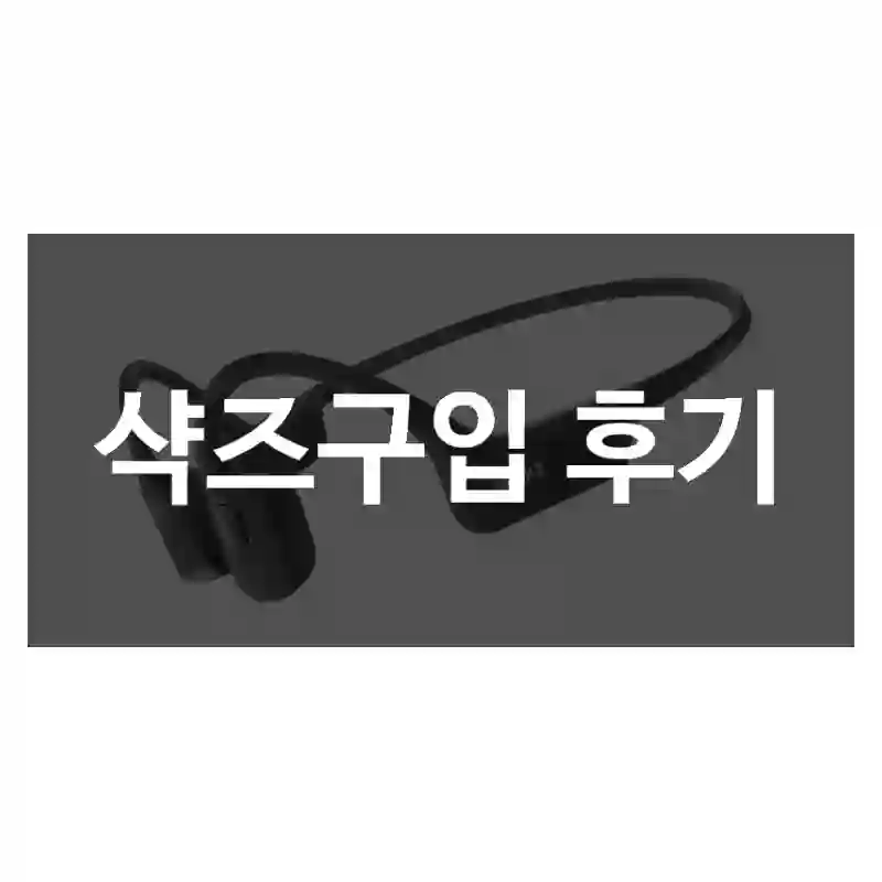 샥즈구입 후기