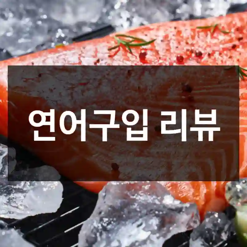 연어구입 리뷰