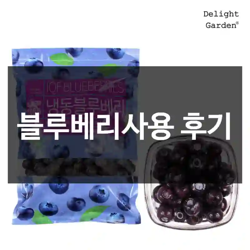 블루베리사용 후기