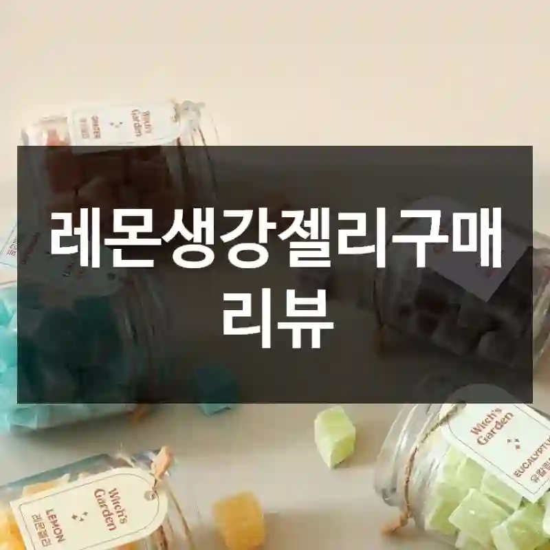 레몬생강젤리구매 리뷰