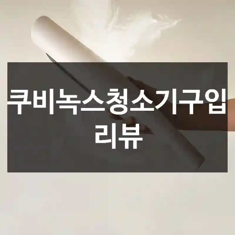 쿠비녹스청소기구입 리뷰