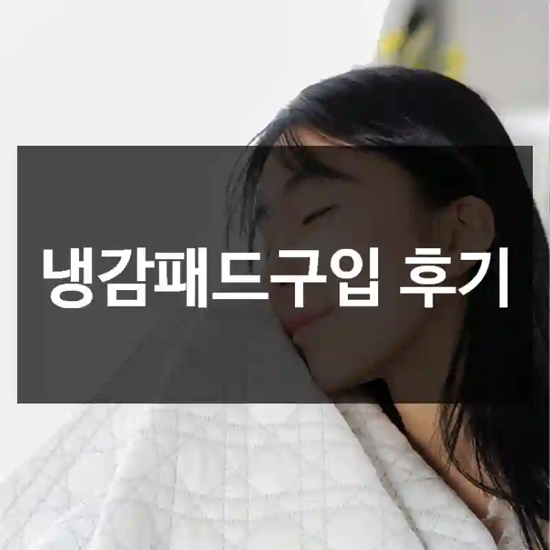 냉감패드구입 후기