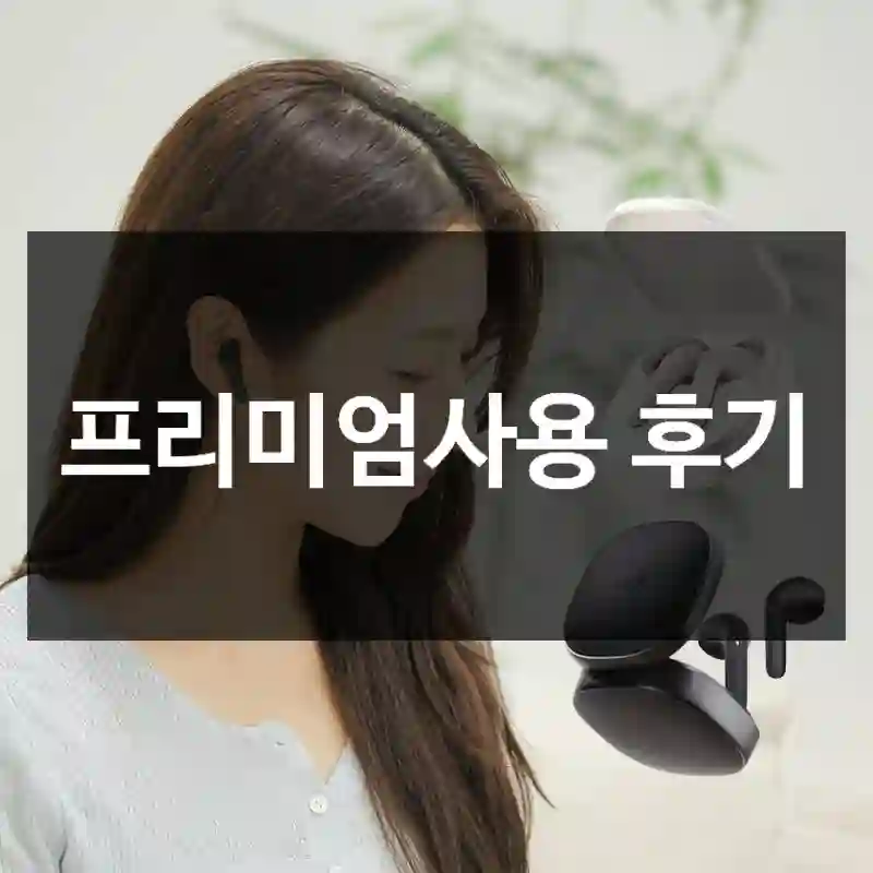 프리미엄사용 후기